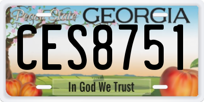 GA license plate CES8751