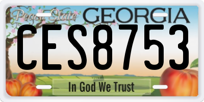 GA license plate CES8753