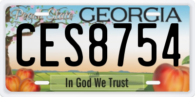 GA license plate CES8754