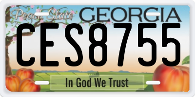 GA license plate CES8755