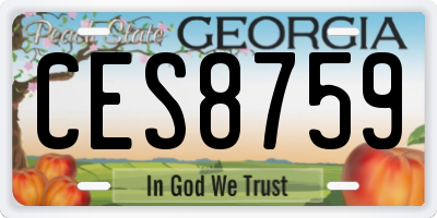 GA license plate CES8759