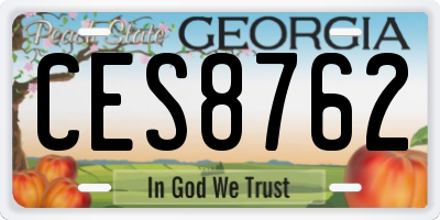 GA license plate CES8762