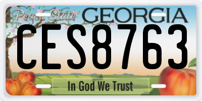 GA license plate CES8763