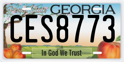 GA license plate CES8773