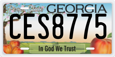 GA license plate CES8775