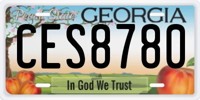GA license plate CES8780