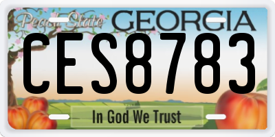 GA license plate CES8783