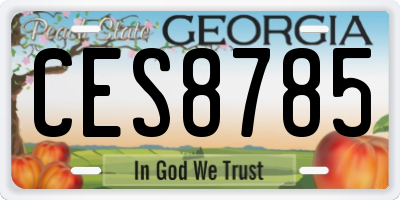 GA license plate CES8785