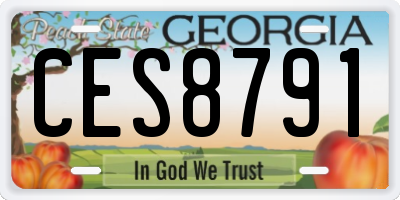 GA license plate CES8791