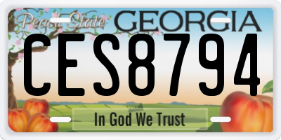 GA license plate CES8794