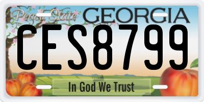 GA license plate CES8799
