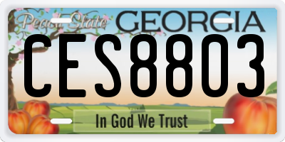 GA license plate CES8803