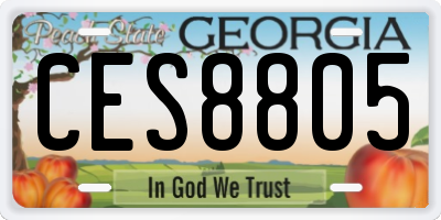 GA license plate CES8805