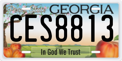 GA license plate CES8813