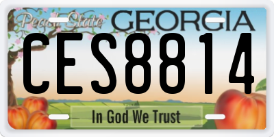 GA license plate CES8814
