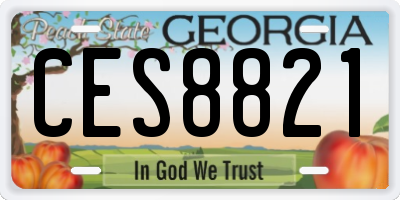 GA license plate CES8821