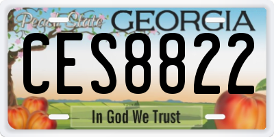 GA license plate CES8822