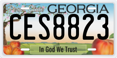 GA license plate CES8823