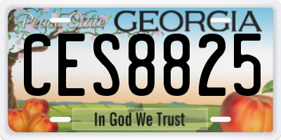 GA license plate CES8825