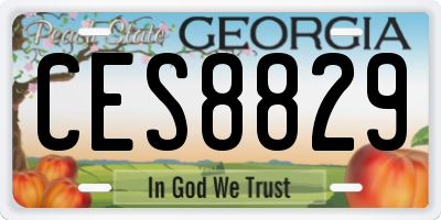 GA license plate CES8829