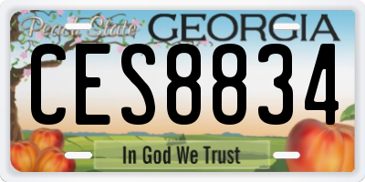 GA license plate CES8834