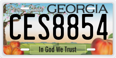 GA license plate CES8854