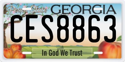 GA license plate CES8863