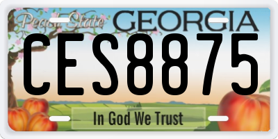 GA license plate CES8875