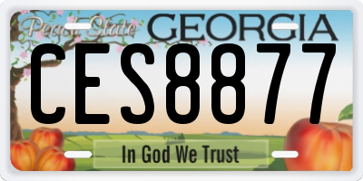 GA license plate CES8877