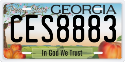 GA license plate CES8883