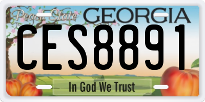 GA license plate CES8891