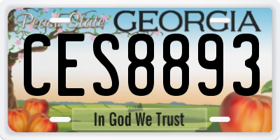 GA license plate CES8893