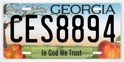 GA license plate CES8894