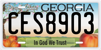 GA license plate CES8903