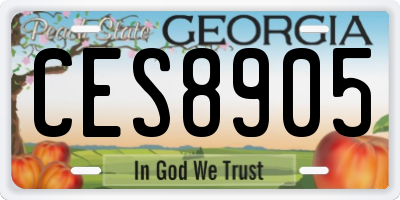 GA license plate CES8905
