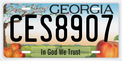 GA license plate CES8907
