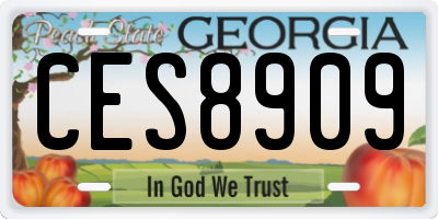 GA license plate CES8909