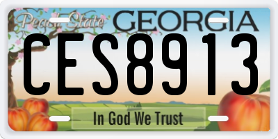 GA license plate CES8913