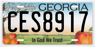 GA license plate CES8917