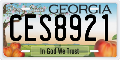 GA license plate CES8921