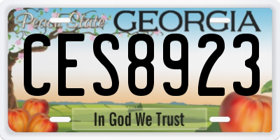 GA license plate CES8923