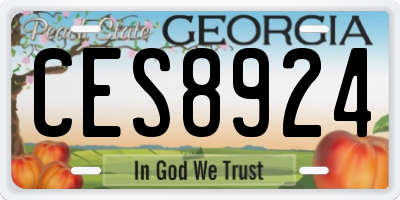 GA license plate CES8924