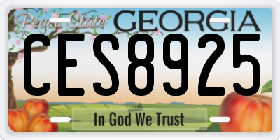 GA license plate CES8925