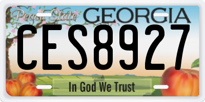 GA license plate CES8927