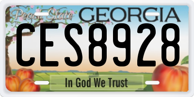 GA license plate CES8928