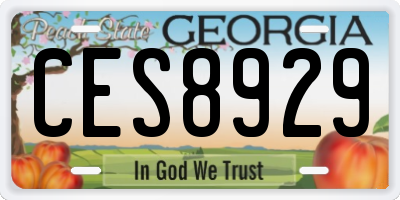 GA license plate CES8929