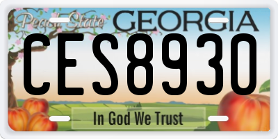 GA license plate CES8930