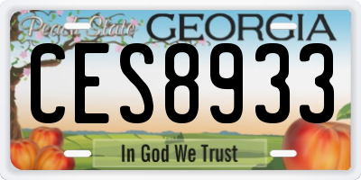GA license plate CES8933