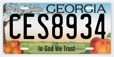 GA license plate CES8934