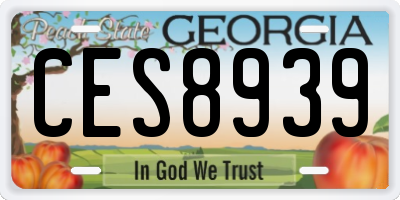 GA license plate CES8939